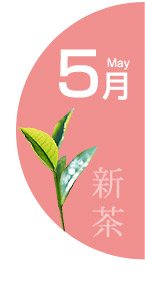 5月：新茶