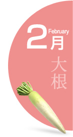 2月:大根