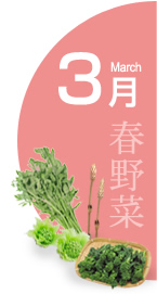 3月：春野菜