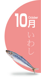 10月:いわし