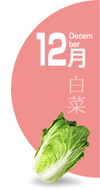 12月：白菜