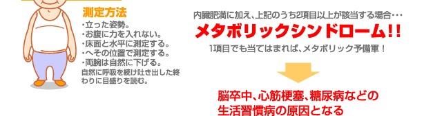 内臓肥満に加え、上記のうち2項目以上が該当する場合…メタボリックシンドローム！！　1項目でも当てはまれば、メタボリック予備軍！　脳卒中、心筋梗塞、糖尿病などの生活習慣病の原因となる