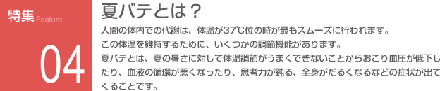 特集04：夏バテとは？ 人間の体内での代謝は、体温が37℃位の時が最もスムーズに行われます。この体温を維持するために、いくつかの調節機能があります。夏バテとは、夏の暑さに対して体温調節がうまくできないことからおこり血圧が低下したり、血液の循環が悪くなったり、思考力が鈍る、全身がだるくなるなどの症状が出てくることです。