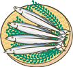 秋刀魚（さんま）