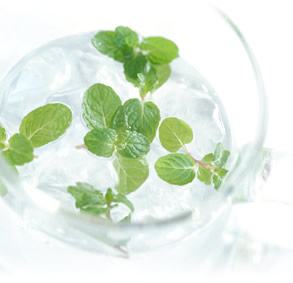 About Herb ハーブとは…