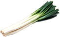ねぎ