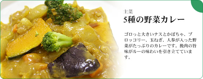 主菜：5種の野菜カレー　ゴロっと大きいナスとかぼちゃ、ブロッコリー、玉ねぎ、人参が入った野菜がたっぷりのカレーです。挽肉の旨味がルーの味わいを引き立てています。